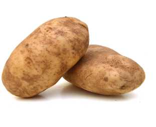 Bild Belana Speisekartoffeln